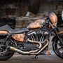 5. Harley-Davidson V-Force